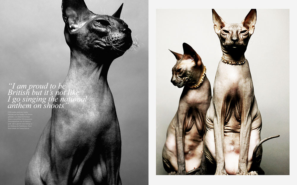 1/7 Photographer Daniel Gieseke shows a jewellery series with sphynx cats. Location in Hannover
